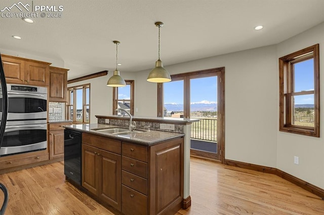 14060 Black Forest Rd, Colorado Springs, CO 80908 - kitchen with double oven, dishwasher, a healthy amount of sunlight, a sink, and light wood-style floors