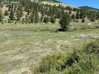 521 Monarch Dr, Cripple Creek CO, 80813 land for sale