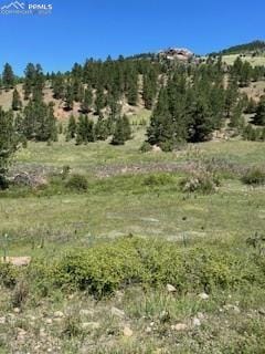 Listing photo 3 for 521 Monarch Dr, Cripple Creek CO 80813