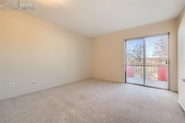 empty room featuring carpet floors