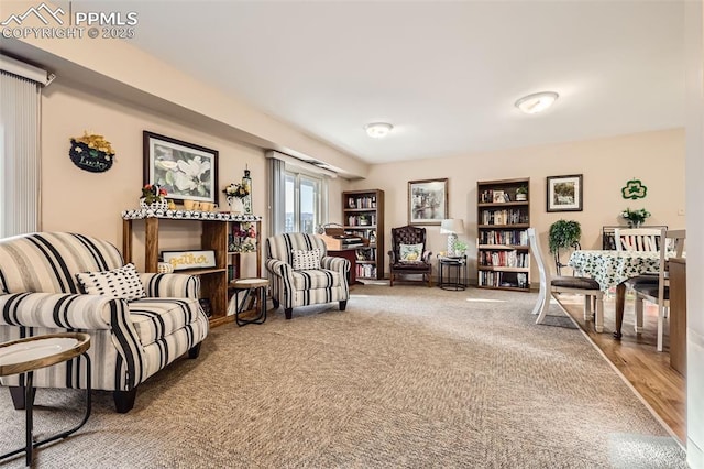 living area featuring carpet floors