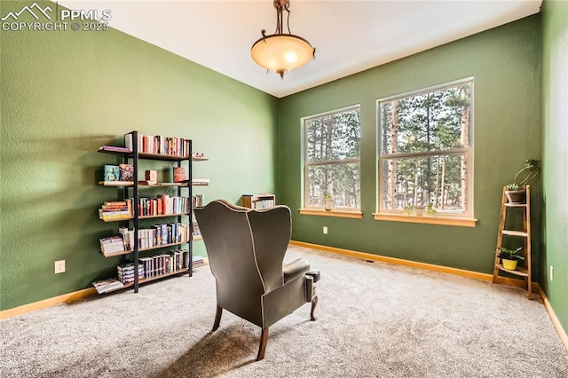 office area featuring carpet flooring and baseboards