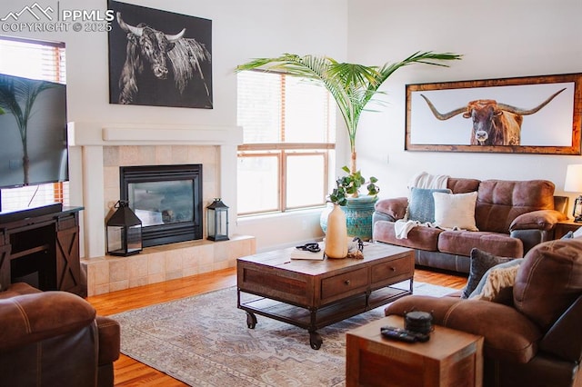 14650 Eastonville Rd, Elbert, CO 80106 - living room featuring wood finished floors and a tile fireplace