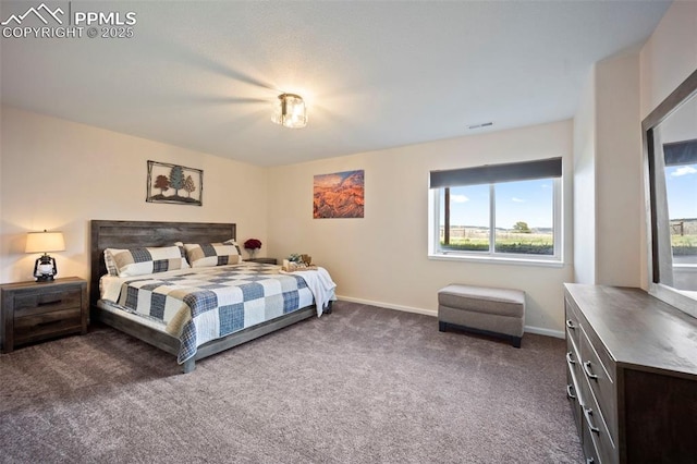 14650 Eastonville Rd, Elbert, CO 80106 - bedroom featuring baseboards, dark colored carpet, and visible vents