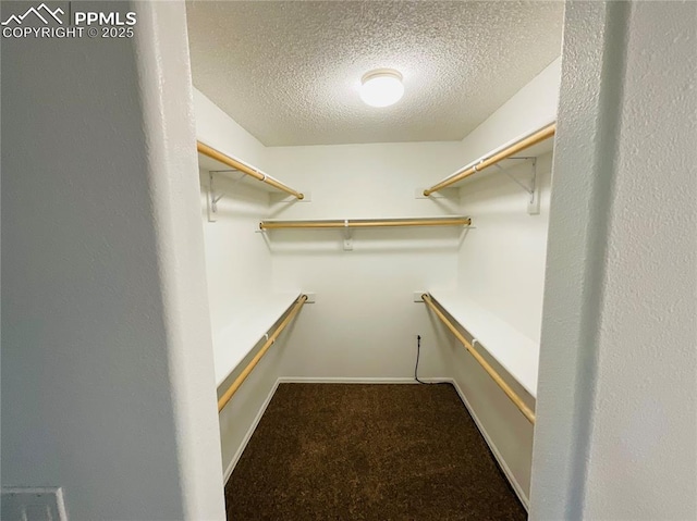 spacious closet featuring carpet floors