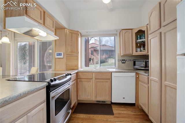 kitchen with a sink, light brown cabinetry, appliances with stainless steel finishes, and premium range hood