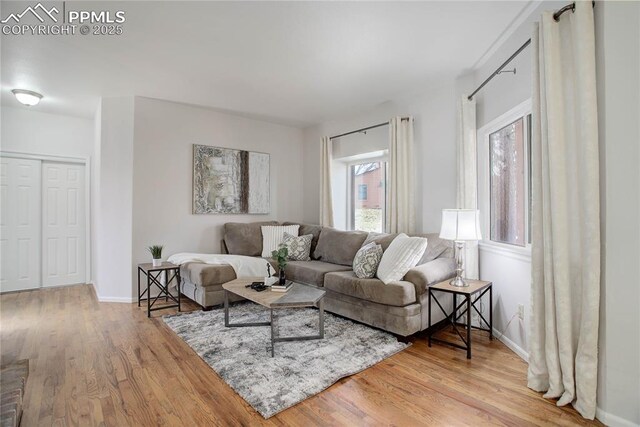 living area featuring baseboards and wood finished floors