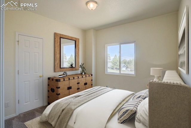 bedroom with carpet