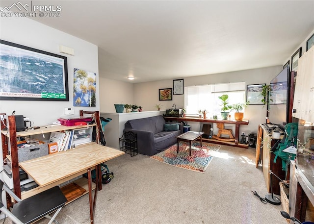 view of carpeted living room