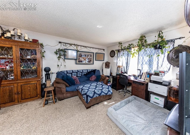 carpeted living area with a textured ceiling