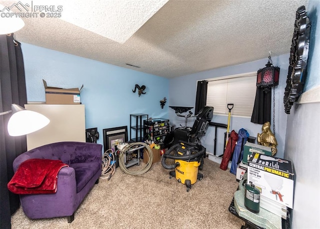 interior space with a textured ceiling and carpet