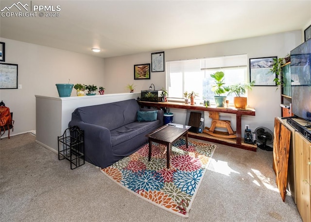 living area with carpet flooring