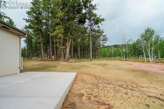 1309 Stone Ridge Dr, Woodland Park, CO 80863 - view of yard featuring a view of trees