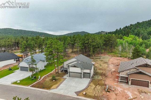 1309 Stone Ridge Dr, Woodland Park, CO 80863 - birds eye view of property with a view of trees