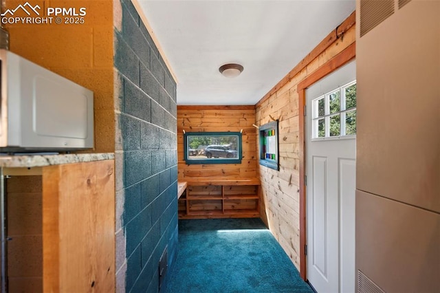 987 Blossom Rd, Woodland Park, CO 80863 - entryway featuring wooden walls and carpet flooring