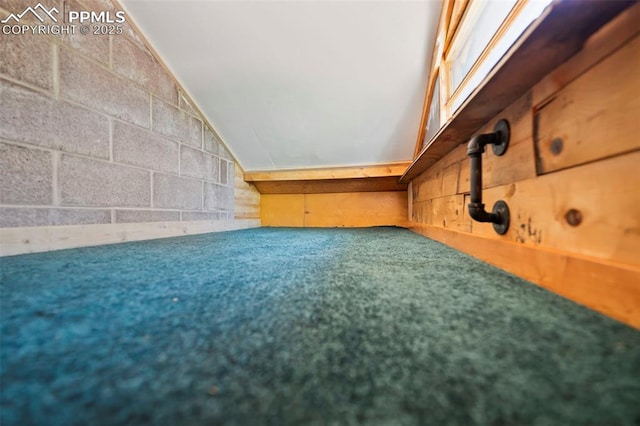 987 Blossom Rd, Woodland Park, CO 80863 - additional living space featuring lofted ceiling, carpet floors, and concrete block wall