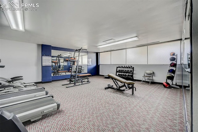 workout area featuring baseboards and carpet flooring