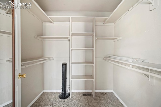 spacious closet featuring carpet flooring and visible vents