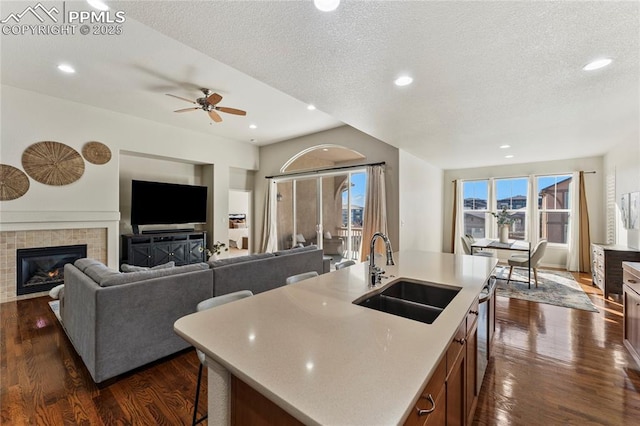 kitchen with a sink, dark wood-style flooring, a fireplace, and light countertops