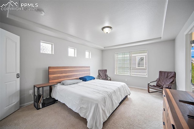 bedroom with carpet, baseboards, and a raised ceiling