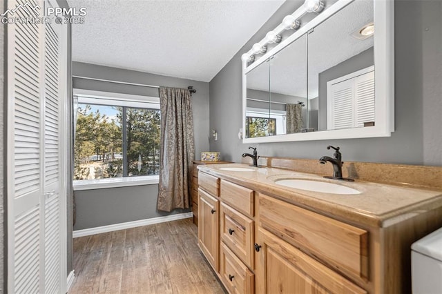 full bath featuring a closet, a healthy amount of sunlight, and a sink