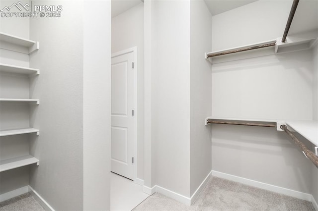 walk in closet featuring carpet floors