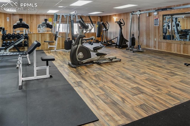 exercise room featuring a drop ceiling, wood finished floors, and wood walls