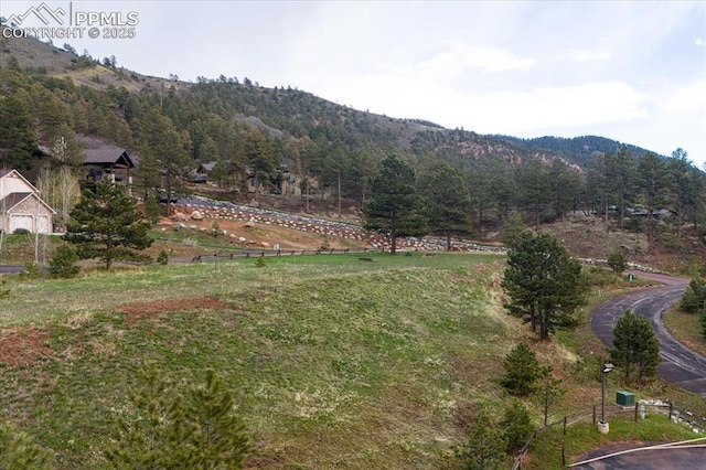 2721 Mountain Glen Ct, Woodland Park CO, 80863 land for sale