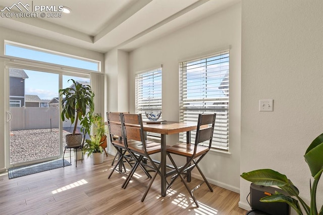 4478 Riviera Ct, Aurora, CO 80019 - dining space with a tray ceiling, light wood-type flooring, baseboards, and a healthy amount of sunlight