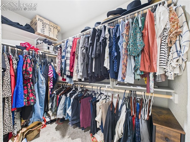 walk in closet featuring carpet flooring