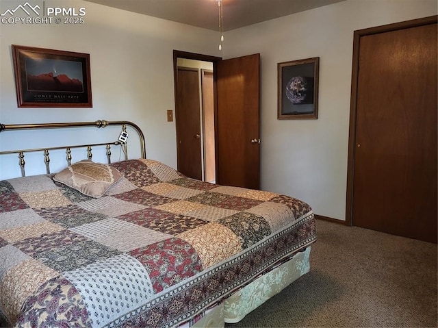 bedroom featuring carpet floors