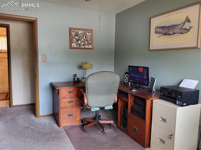 carpeted office with baseboards