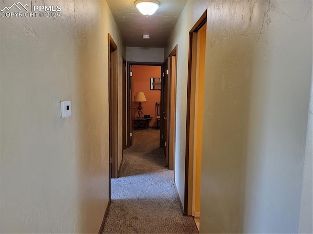 corridor featuring light colored carpet, a textured ceiling, and a textured wall