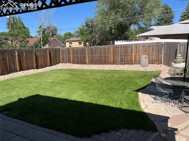 view of yard with a patio and a fenced backyard