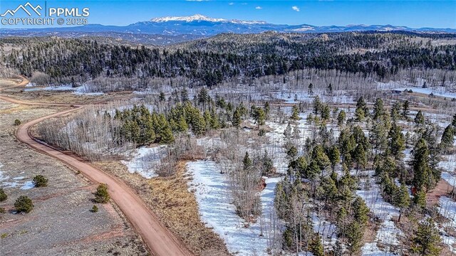 654 Aspen Way Dr, Florissant, CO 80816