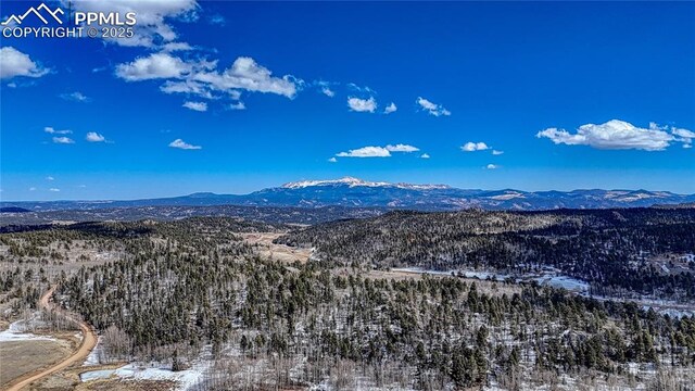 654 Aspen Way Dr, Florissant, CO 80816