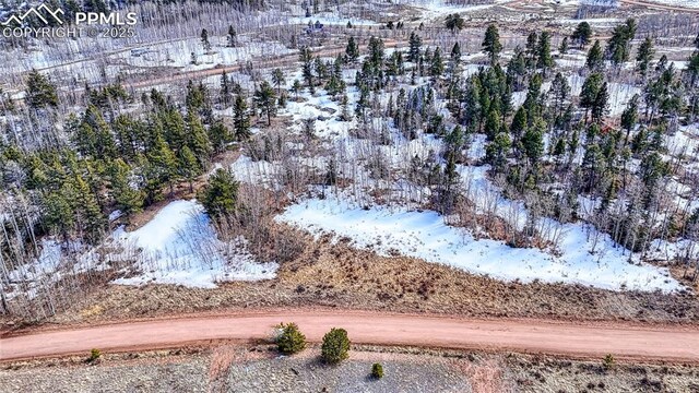 654 Aspen Way Dr, Florissant, CO 80816