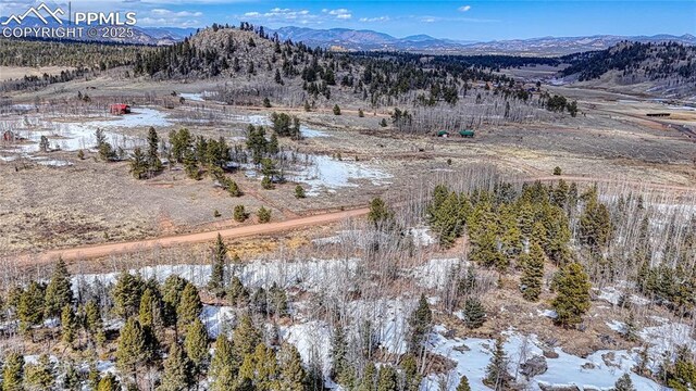 654 Aspen Way Dr, Florissant, CO 80816