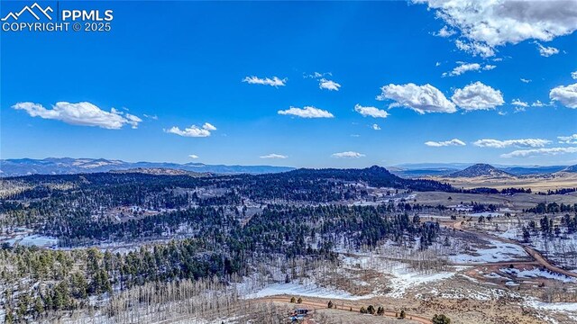 654 Aspen Way Dr, Florissant, CO 80816