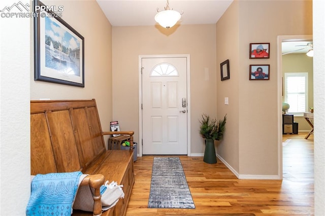 entrance foyer with baseboards and light wood-style floors