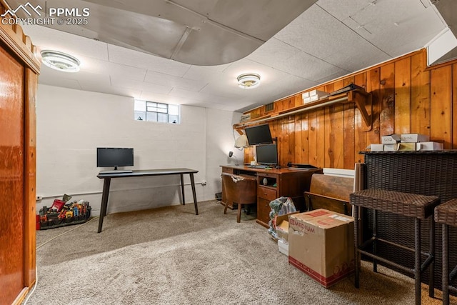 basement with carpet floors and wooden walls