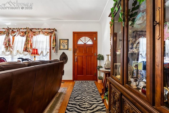 entryway featuring light wood finished floors