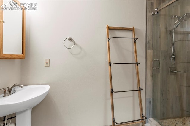 bathroom featuring a sink and a shower stall