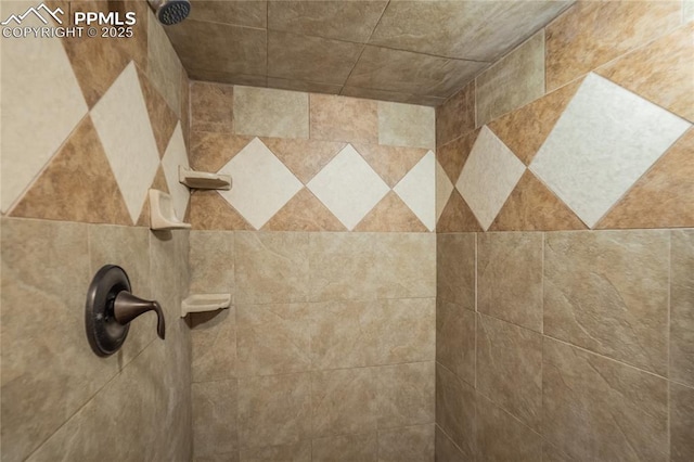 room details with tiled shower