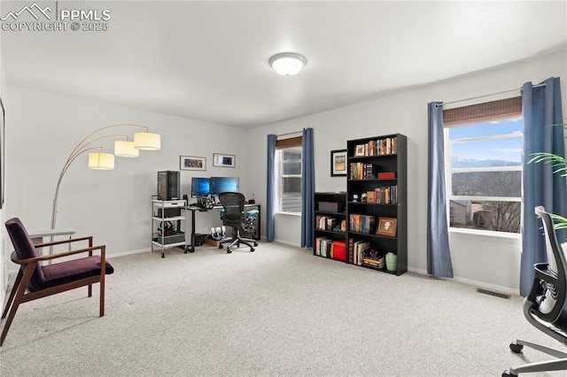 home office with visible vents, baseboards, and carpet flooring