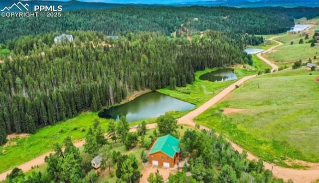 drone / aerial view with a water view and a view of trees