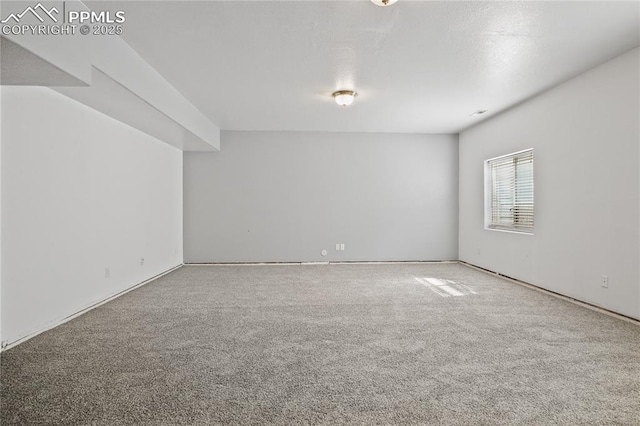 spare room featuring carpet floors