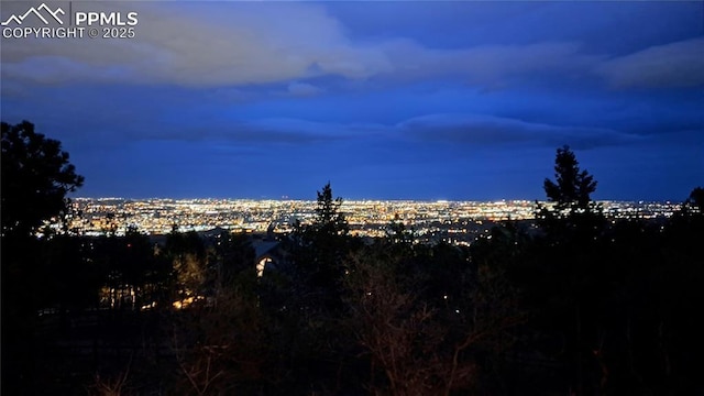 view of local wilderness