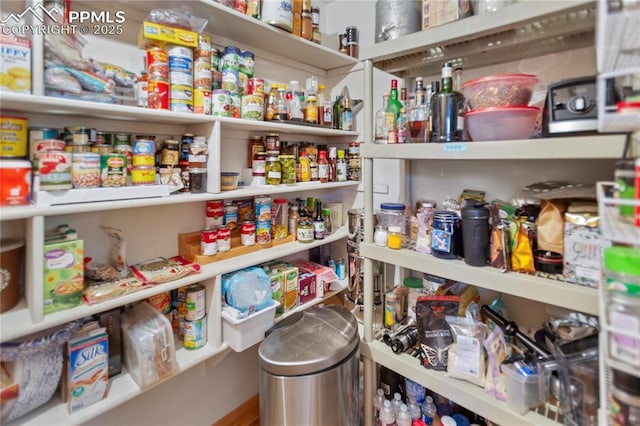 266 University Dr, Woodland Park, CO 80863 - view of pantry