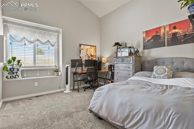 5409 Haes Haven Vw, Colorado Springs, CO 80908 - bedroom featuring baseboards, high vaulted ceiling, and carpet
